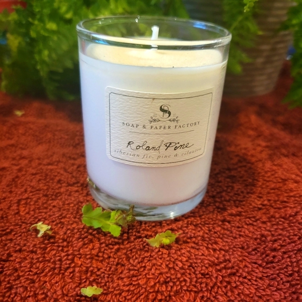 ❤️BUY 5 GET 4 FREE Roland Pine Small 2.4 oz Candle
